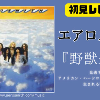 【プロモ盤】AEROSMITH/Wild Platinum プラチナの野獣たち Aerosmith-album-1st-320x320.jpg
