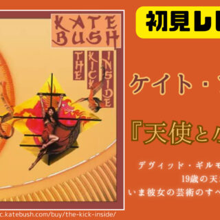 ディスクレビュー】ケイト・ブッシュのアルバム『天使と小悪魔』を全曲解説して分かったこと｜つるミュージックブログ