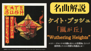 【第12回】ケイト・ブッシュ「嵐が丘」（Wuthering Heights）を完全解説【洋楽名曲解説】