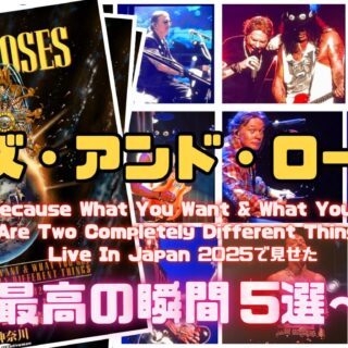 希少激レア！ガンズ・アンド・ローゼズ！プロモーション用見本品！レア！ハードロック ガンズ・アンド・ローゼズ / アペタイト・フォー・ディス