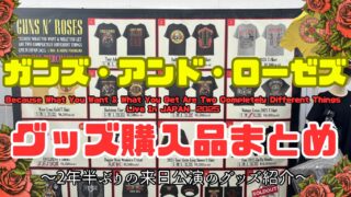 【レビュー】ガンズ・アンド・ローゼズの来日公演で購入したグッズ紹介まとめ【Because What You Want & What You Get Are Two Completely Different Things】