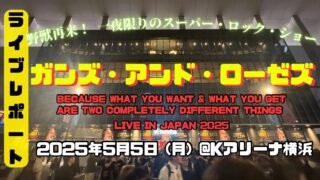 【ライブレポート】ガンズ・アンド・ローゼズの一夜限りの来日公演「Because What You Want & What You Get Are Two Completely Different Things」に行ってきた感想
